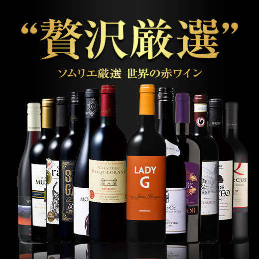 【送料無料】 贅沢リッチな世界の赤ワイン12本セット 第2弾 赤ワイン フルボディ ミディアムボディ ワインセット 【W05602】