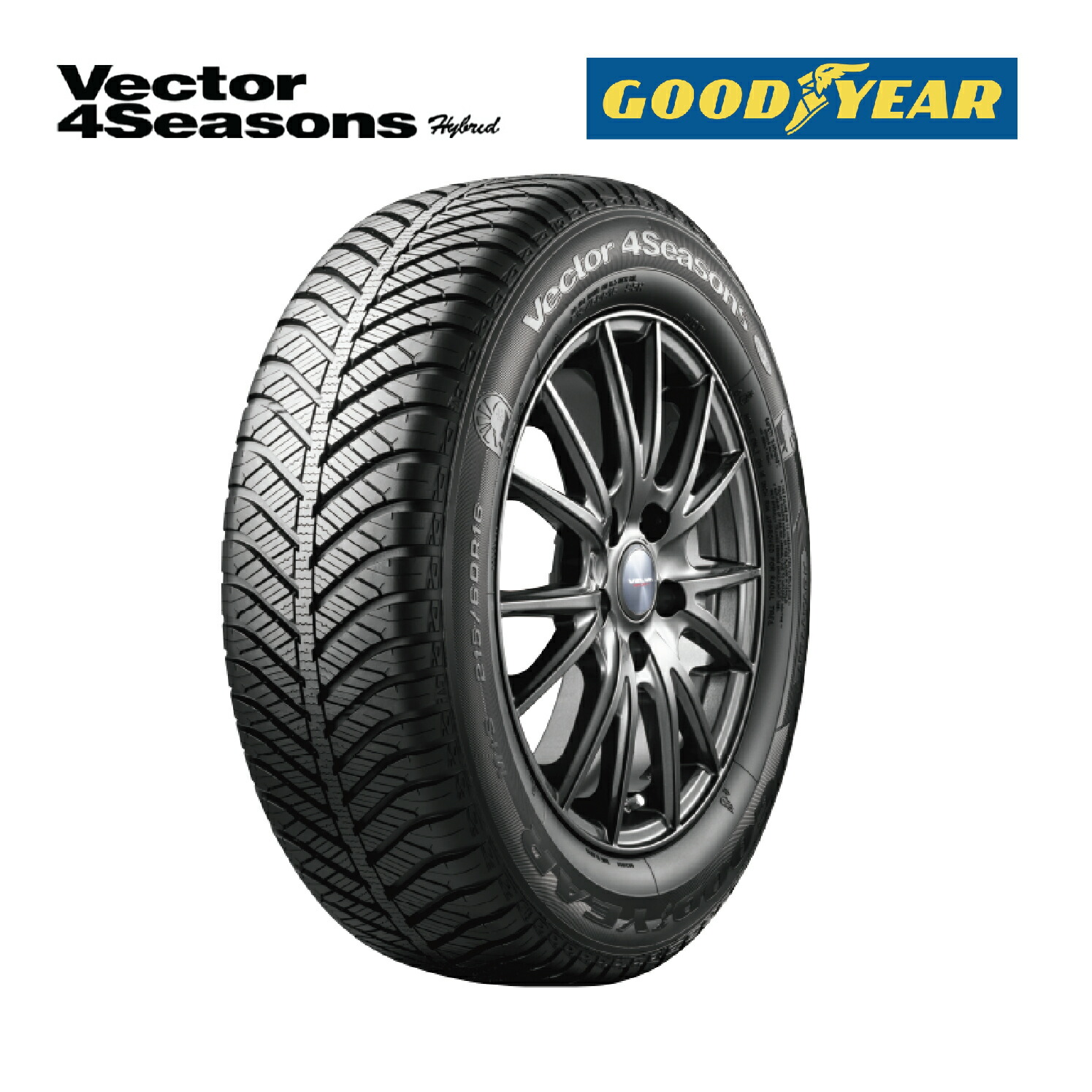楽天市場】オールシーズンタイヤ Vector 4Seasons Hybrid 195/60R17