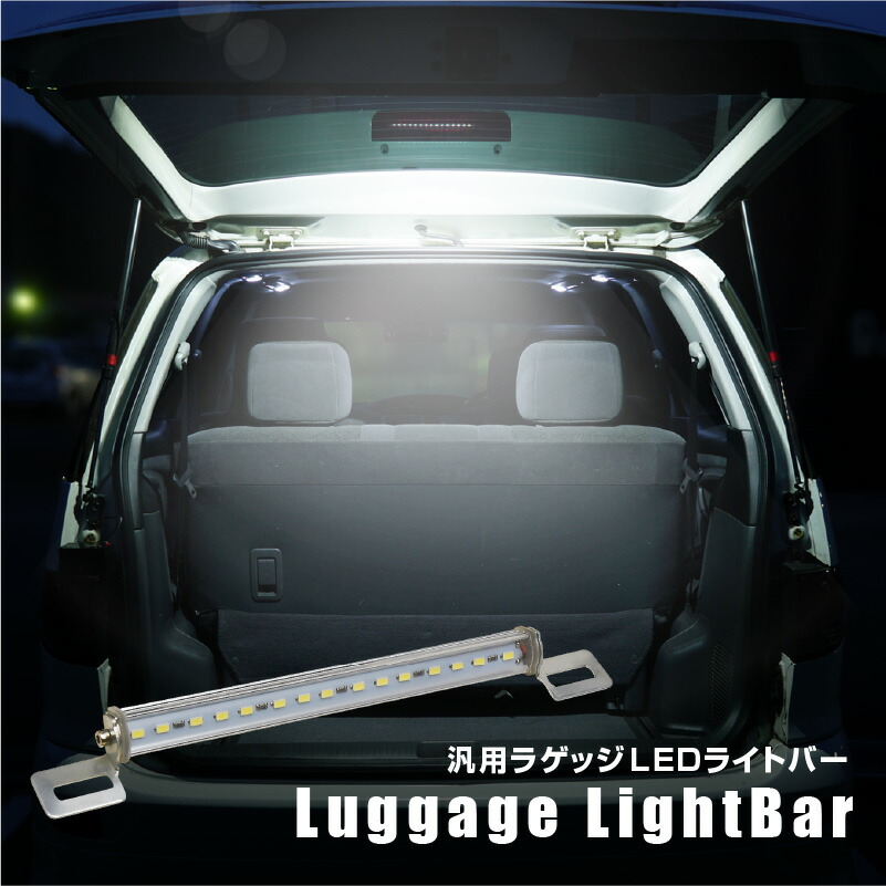 C T10-WHITE-CANBUSX2 HONDA交換用 12V24V T10 6 HH5 白 H11.6～H22.7 ナンバー灯 バン アクティー  LED Minor前