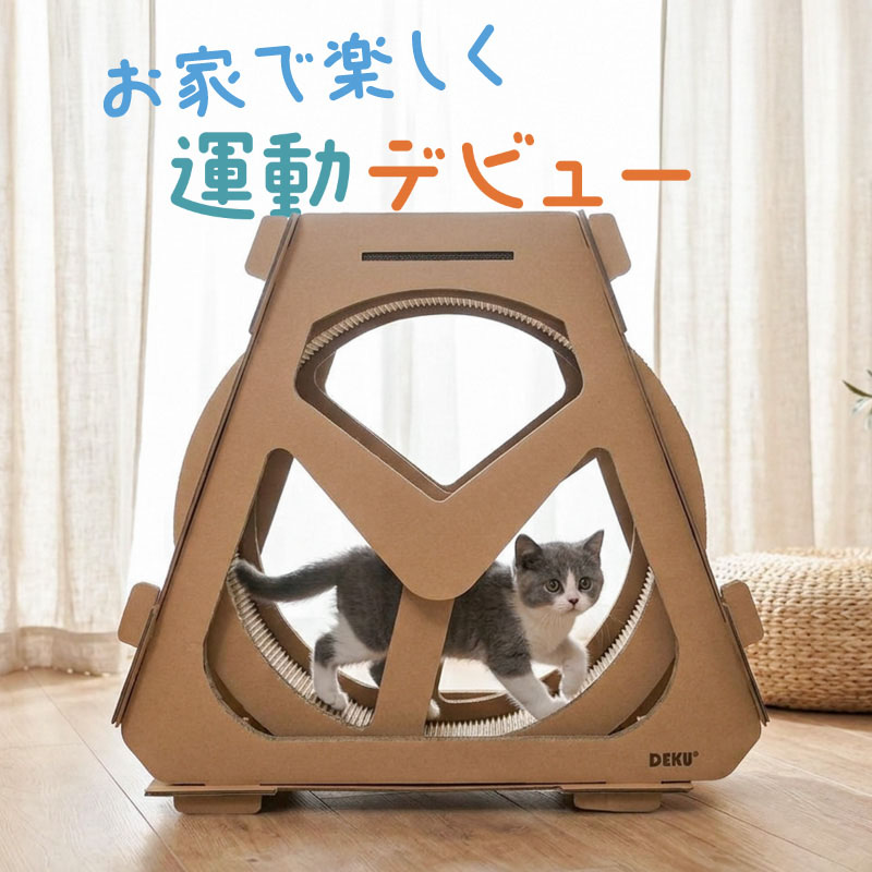 御役目用スチール写真仕合わせ 耐荷重200kg 総やか蔵置き・バス発着場保護すること向け 4大きさ押しひろげる