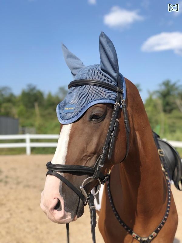 イヤーネット 馬具 乗馬 用品 ヘッド 耳 カバー 通気性 メッシュ フライヴェール フード プロテクター 防音 虫よけ 馬術 障害 馬装 装備 ホース ウェア ヨーロッパ かぎ編み 帽子 グレー ブルー ピンク|モズラボ