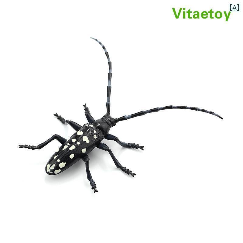 リアル 虫 おもちゃ 昆虫 生き物 模型 玩具 フィギュア コレクション ディスプレイ 小物 ハチ セミ 蝶 いたずら どっきり サプライズ 知育