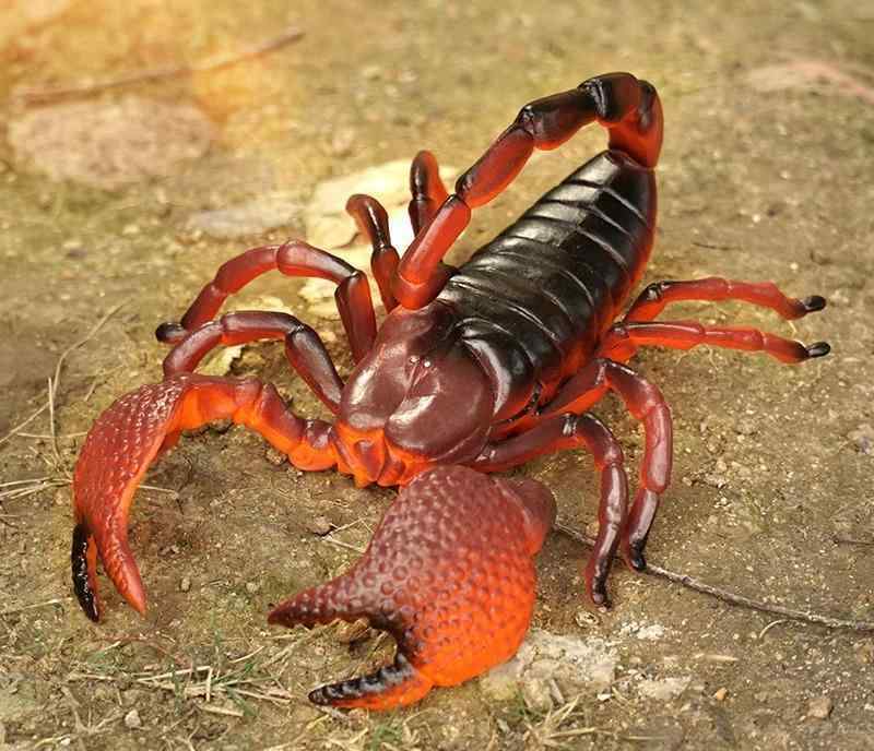虫 おもちゃ ムシ 生物 リアル そっくり フェイク おもしろ フィギュア 模型 サソリ クモ バッタ てんとう カブトムシ アリ 大きいサイズ いたずら ドッキリ 雑貨