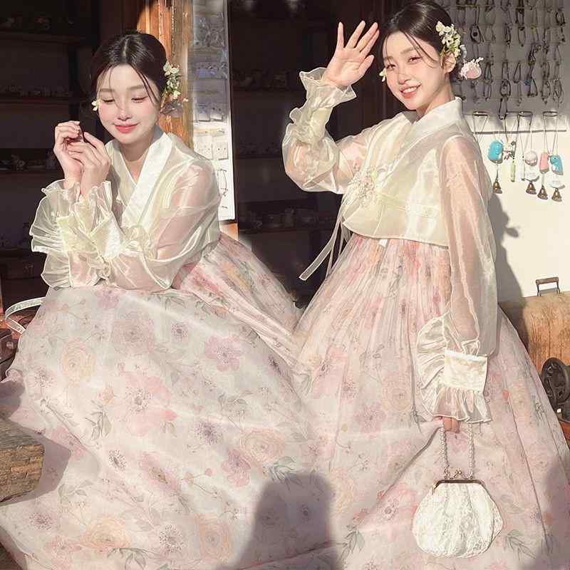 チマチョゴリ レディース 御前上等感 公方 礼服 コスプレ 第八芸術映画化 高座お召しもの 民族お召しもの 韓服