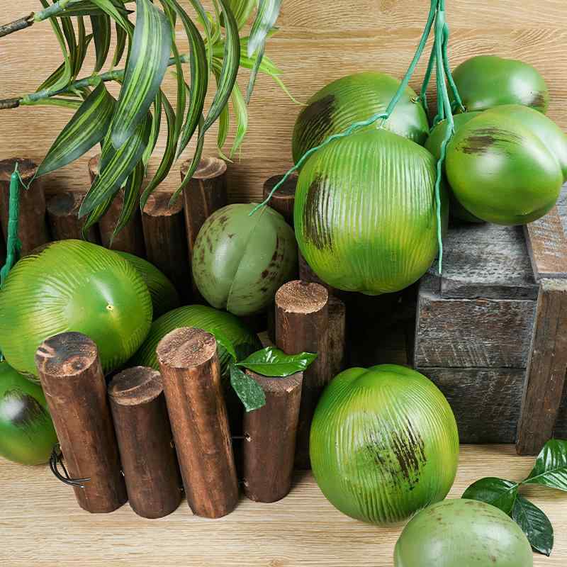 楽天市場】ヤシの実 ココナッツ 人気 食品サンプル ヤシ類 椰子の実