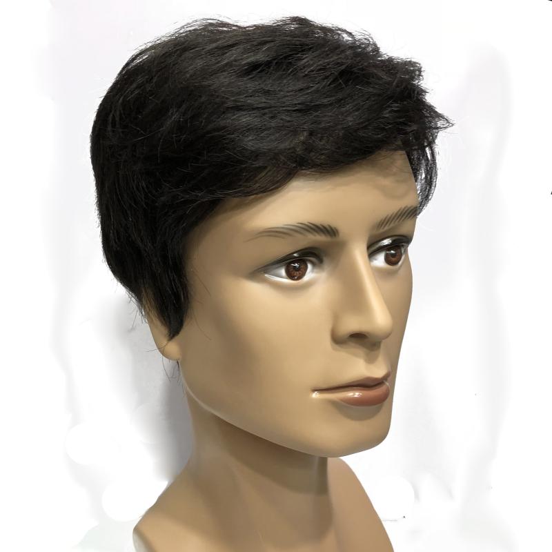 ウィッグ メンズ フルウィッグ 人毛 ショート 黒 自然 白髪隠し 薄毛対策 マシンメイド 普段使い 男性用 かつら