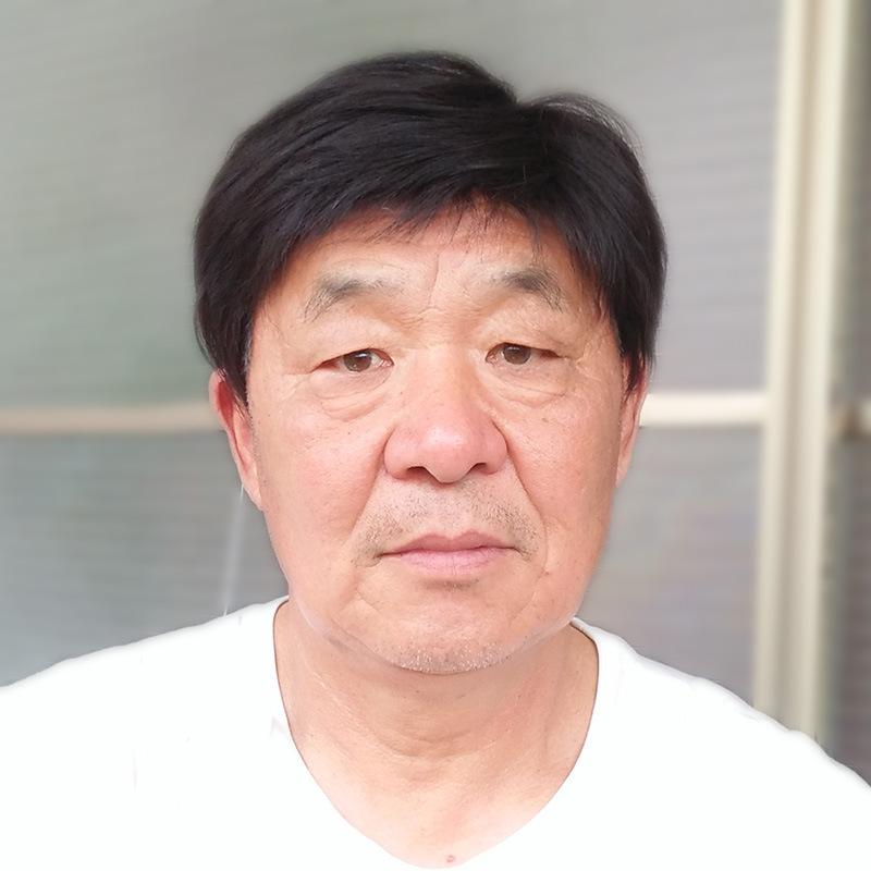 メンズ ウィッグ 人毛100% フルウィッグ ショート 中高年向け 白髪隠し ボリュームアップ 自然黒 染めパーマ対応 部分手植え
