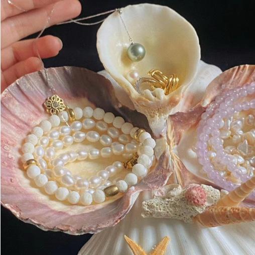 楽天市場】自然材/貝殻□海水 2枚貝:アサリ(浅蜊)□貝/貝殻/二枚貝