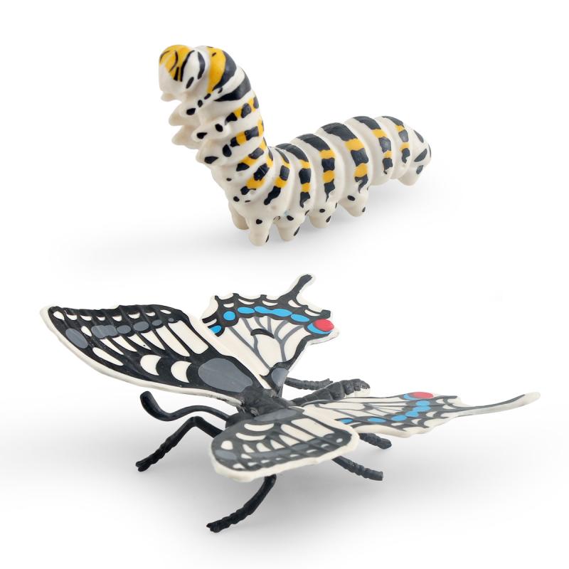 楽天市場】ミュージアム 昆虫フィギュア紫アゲハ アゲハ蝶 : ソプラノ