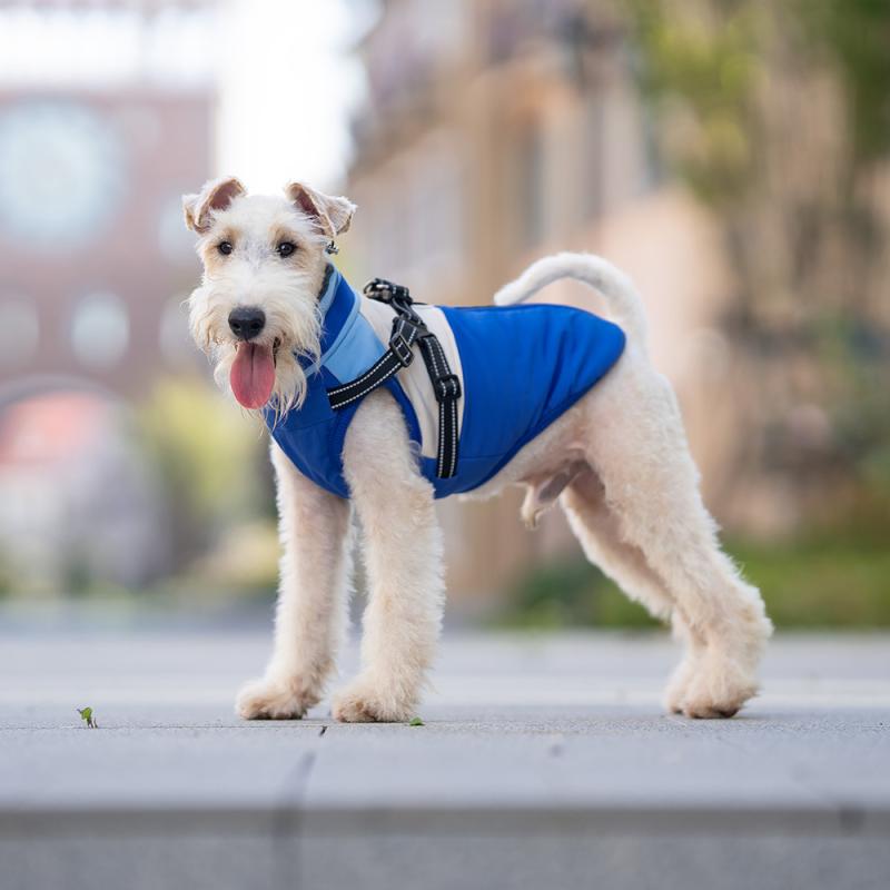 犬服 小型犬 中型犬 秋冬 防寒 暖かい リードDカン付き 厚手 中綿ジャケット アウター ドッグウェア シュナウザー チワワ トイプードル おしゃれ パープル ブラウン ペット用品