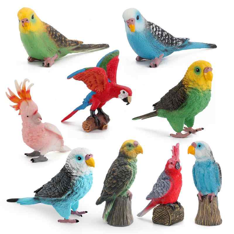 鳥フィギュア キッズ リアル 精巧 PVC製 コンゴウインコ オカメインコ セキセイインコ オウム インコ 知育玩具 学習モデル セット コレクション