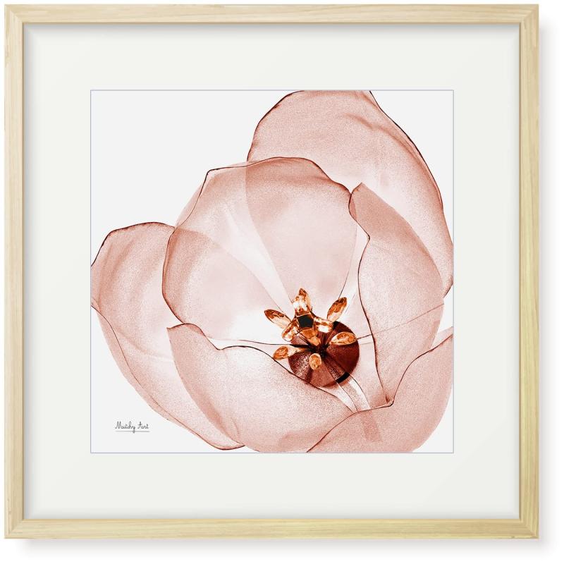 図面「クリスタルチューリッフ?」室内装飾 絵 花 工芸ダイアログボックス 額入り口・入口(縦32珊 x 横32珊)
