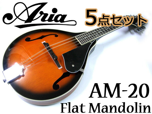 【楽天市場】【超お得な１０点セット！】Aria/アリア AM-20 