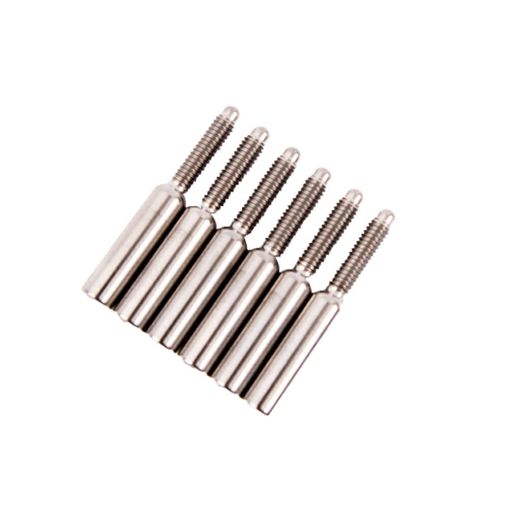 ギターパーツ FU-Tone Titanium String Lock Barrel Screw Set (6)-SILVER|N-AEGIS店