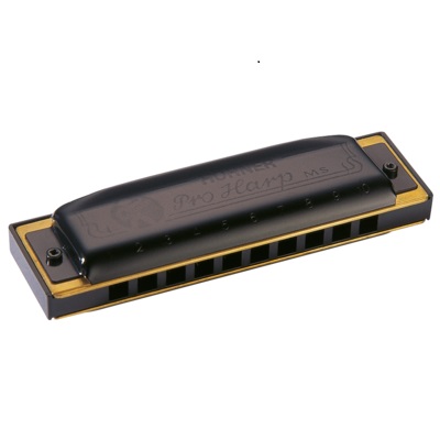 HOHNER ダイアトニックハーモニカ 562/20 MS F# プロハープ 202512ss