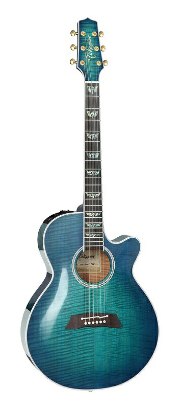 Takamine DMP541 DBS エレアコ 希少カラー ハードケース付 Takamine DMP541 DBS エレアコ 希少カラー ハードケース付