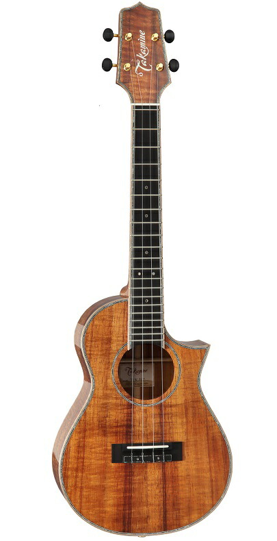 楽天市場】TAKAMINE/タカミネ DMP541 DBS レギュラーモデル DMP