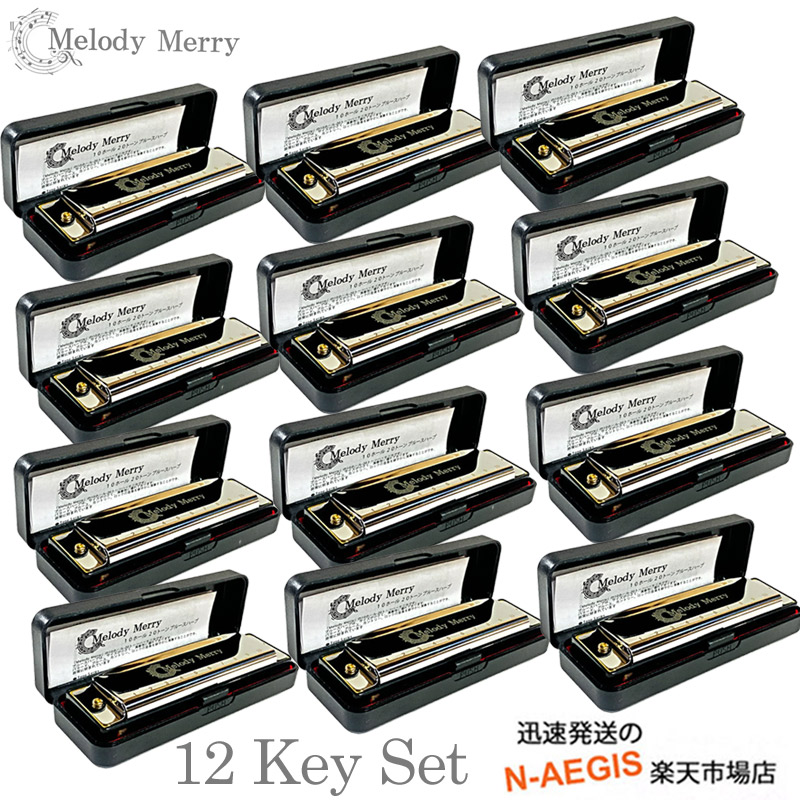 アリア・ フォーク・ブルース・ハーモニカ A～G調　7本 ARIA（アリア） 10ホールズハーモニカ ブルースハープ 12キー セット