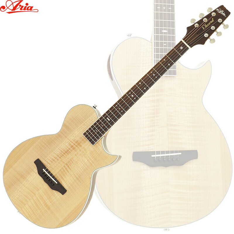Aria Pro II APE-100 TS エレアコ ロック式ペグ交換済 Aria Pro II APE-100 TS エレアコ ロック式ペグ交換済 - メルカリ