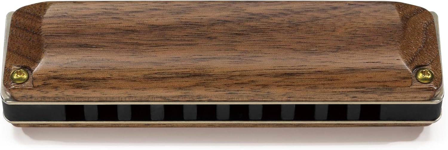 鈴木楽器製作所 10ホールス゛ハーモニカ MANJI M-20W G｜N-AEGIS店