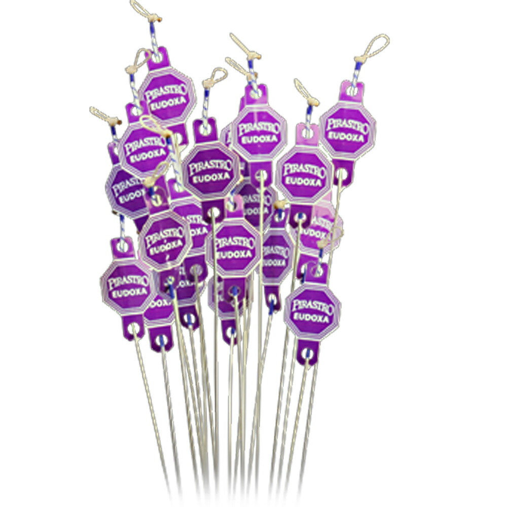 楽天市場】PIRASTRO ピラストロ オイドクサ シフト ビオラ弦 D線 GUT