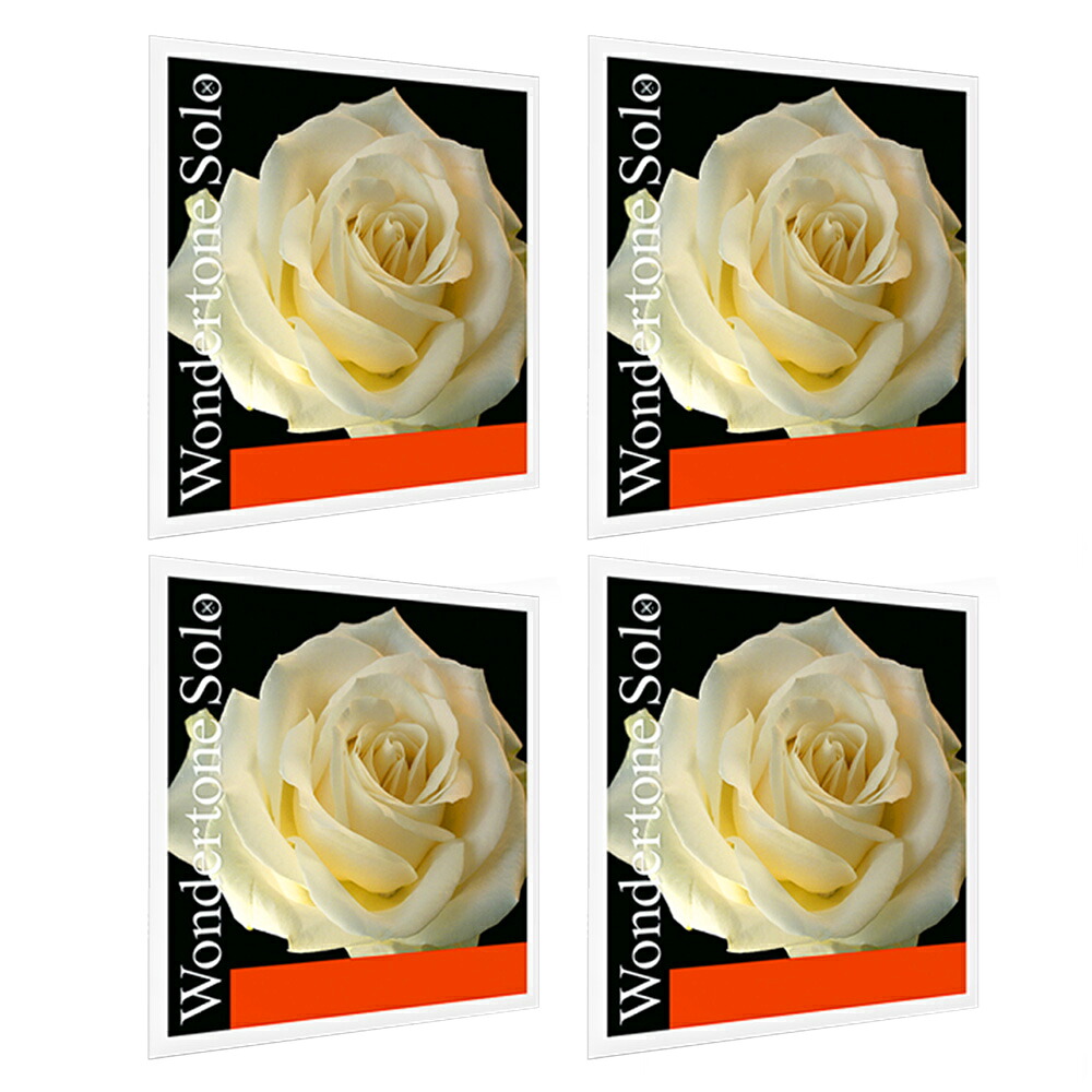 PIRASTRO ワンダートーンソロ バイオリン弦 E(3106) A(4102) D(4103) G(4104) セット 4/4 VIOLIN WONDERTONE SOLO EADG SET