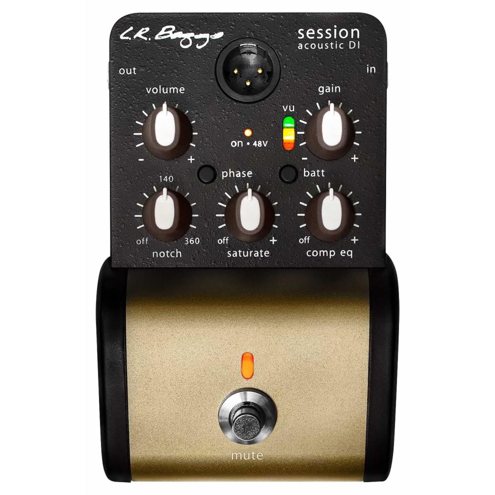 L.R.Baggs エルアールバッグス Session Acoustic DI