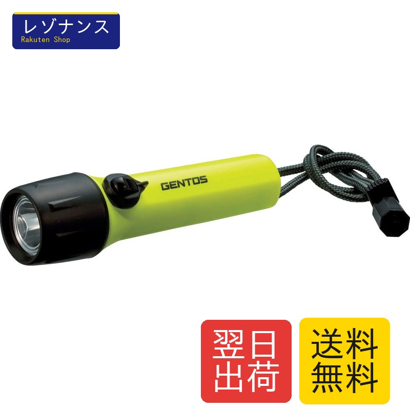 LED懐中電灯 ダイビングライト 200ルーメン