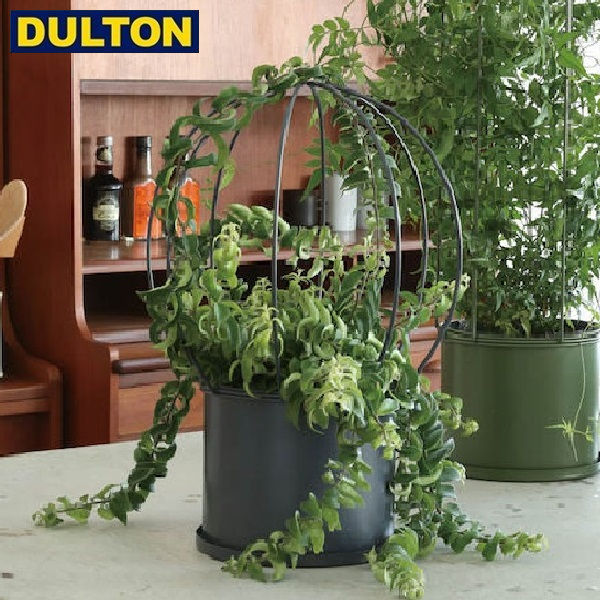 楽天市場 全品p5 10倍 Dulton Vine Pot Round 植木鉢 つる植物専用ポット 品番 K955 1279gy ダルトン インダストリアル アメリカン ヴィンテージ 男前 Neut Plots