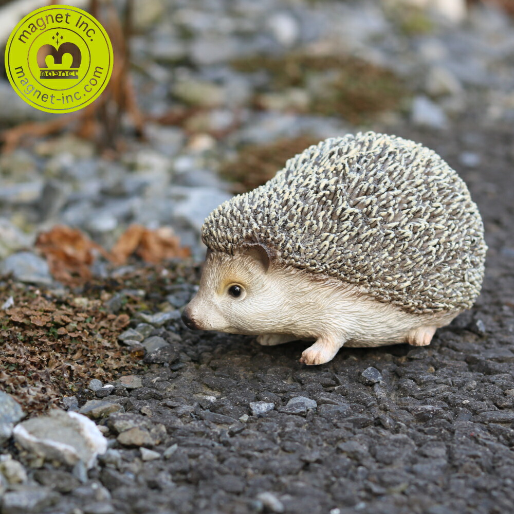 楽天市場】☆【ハリネズミ】リアルなアニマル貯金箱 ペットバンク