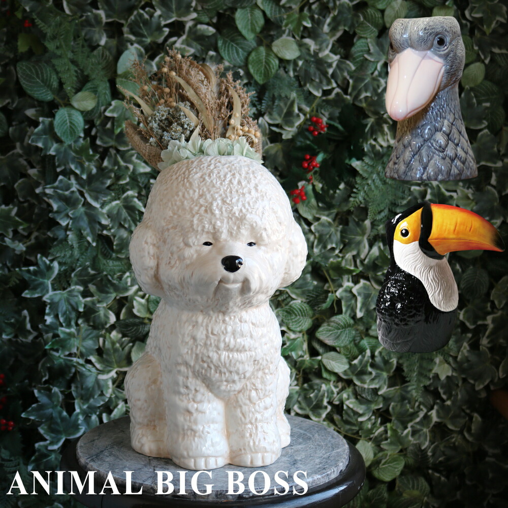 楽天市場】【特典付】〔ポイント2倍〕( Animal BIG BOSS ハシビロコウ