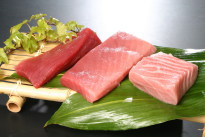 農林水産大臣最高賞天皇杯受賞 薩摩クロマグロの3点セット300g【大トロ・中トロ・赤身】【鹿児島野間池 美代丸水産】
