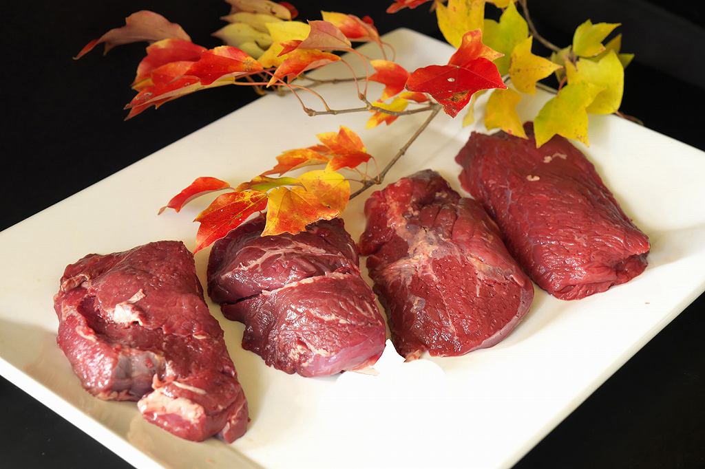 【送料無料】エミュー ステーキ（150g×4枚）【きやまファーム】産地直送