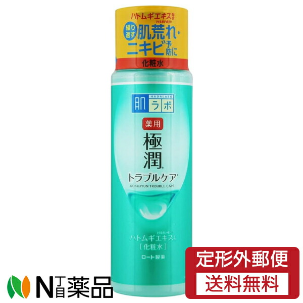 【美品】Lamino スキンコンディショナー　セット ロゼット スキンコンディショナーi 500mL 【医薬部外品