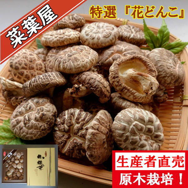 【令和7年新物】大分県産 干し椎茸 『特選花どんこ』180ｇ入【楽ギフ_包装】【楽ギフ_のし宛書】 母の日 父の日 お歳暮 お中元 大分 乾し椎茸 乾ししいたけ 乾しシイタケ 乾燥椎茸 乾燥しいたけ 干しいたけ 干シイタケ 九州産 原木しいたけ 原木椎茸 どんこ 肉厚