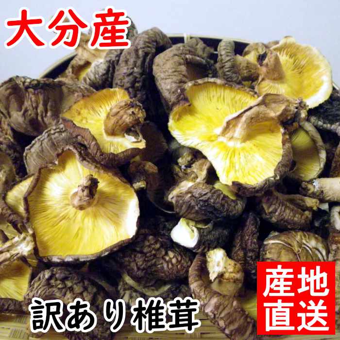 非常に高い品質 楽天市場】【 椎茸 原木 大分県産 240g 干し椎茸 】 訳あり 野菜
