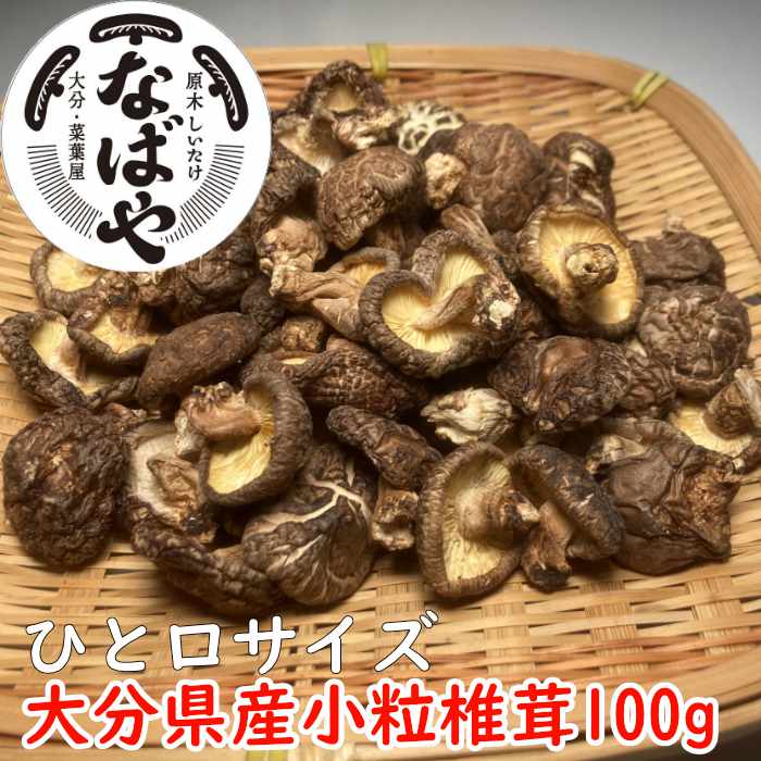 最大66％オフ！ 干し椎茸 国産 小粒 しいたけ 100ｇ入り 干ししいたけ 送料無料 干しシイタケ 乾し椎茸 乾ししいたけ 九州産 原木しいたけ  買い回り 乾燥野菜 干し野菜 乾燥椎茸 なばや qdtek.vn