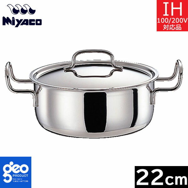 ジオプロダクト ポトフ鍋 22cm 5L 全面7層構造 宮崎製作所 GEO