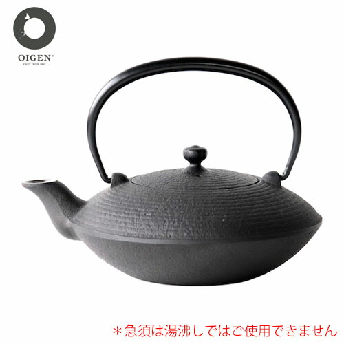 【日本製】 及源鋳造 鉄急須 平形糸目（0.4L） E-159 オイゲン／南部地方金物