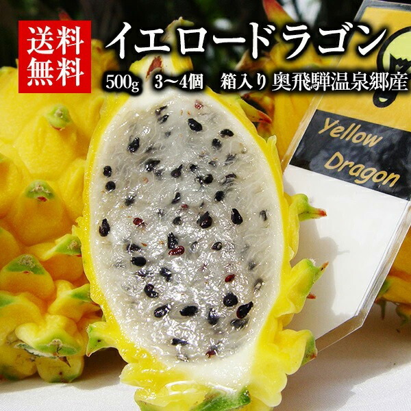 送料無料 奥飛騨温泉郷自社ハウス栽培 希少品種 イエロードラゴンフルーツ 500 600g相当 中玉3個 4個 奥飛騨温泉郷の自社ハウスにて栽培した 純国産 希少品種イエロードラゴンフルーツの収穫が始まりました 全国で国産イエロードラゴンが流通しているのは飛騨高山だけ 送料無料 奥飛騨温泉郷自社ハウス栽培 希少品種 イエロードラゴンフルーツ 500 600g相当 中玉3個 4個 奥飛騨温泉郷の自社ハウスにて栽培した 純国産 希少品種イエロードラゴンフルーツの収穫が始まりました 全国で国産イエロードラゴンが流通しているのは飛騨高山だけ