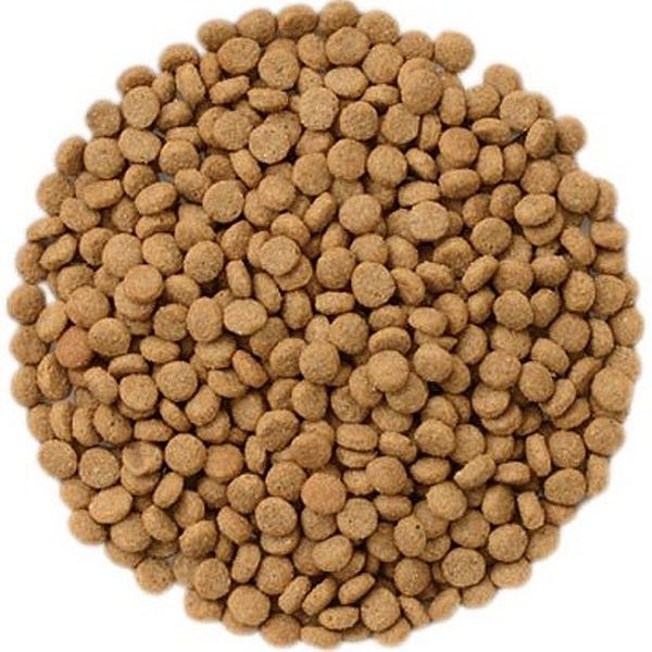 最短賞味22 9 ナチュラルハーベスト 療法食 フラックス 1 47kg 8個 犬用品 成犬シニア犬用 結石ケア対応ドッグフード正規品nhs8 なちゅのごはん 最短賞味22 9 ナチュラルハーベスト 療法食 フラックス 1 47kg 8個 犬用品 成犬シニア犬用 結石ケア対応ドッグフード正規品nhs8 なちゅのごはん