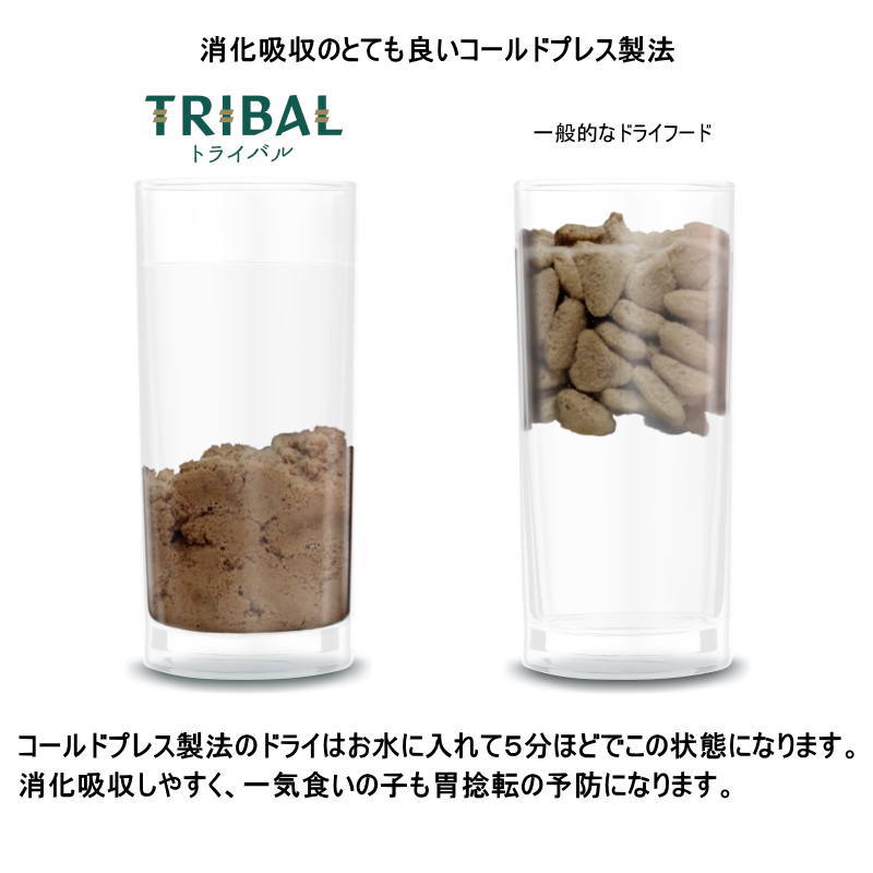 NEW フレッシュ ターキー ドッグフードTRIBAL正規品tr11755 12kg 成犬