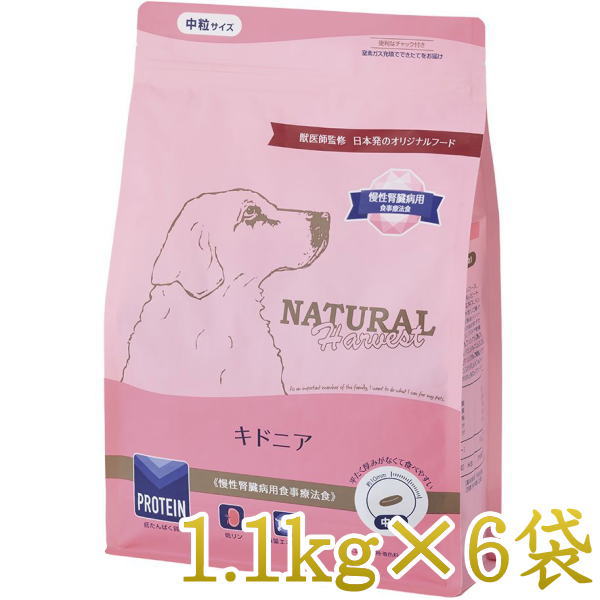 最短面白がる2027.10・ナチュラルハーベスト キドニア 1.1kg×6袋仕掛ける/専用入れもの積みだしになりますnh12374s6