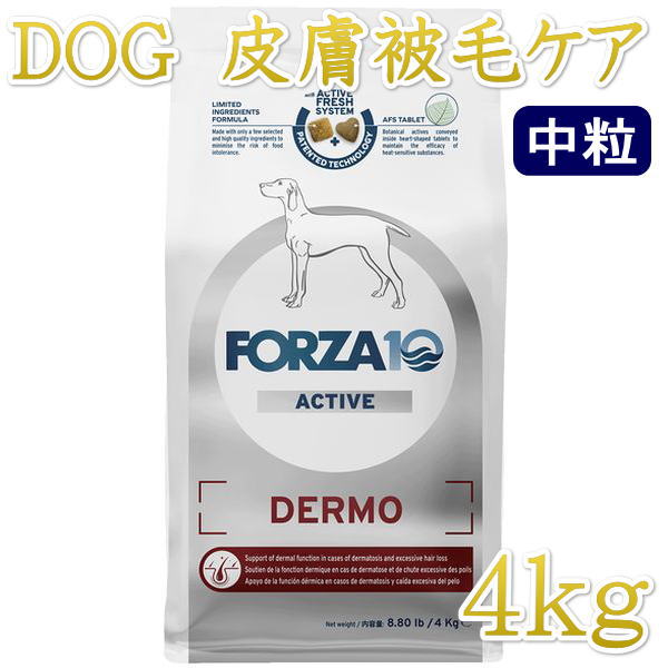 SALE/最短面白がる2026.10・フォルツァ10 犬並み並み デルモ 活動的中粒 4kg＋微粒子250g付き添い人fo14267人はだ・被毛世話をする置き目品