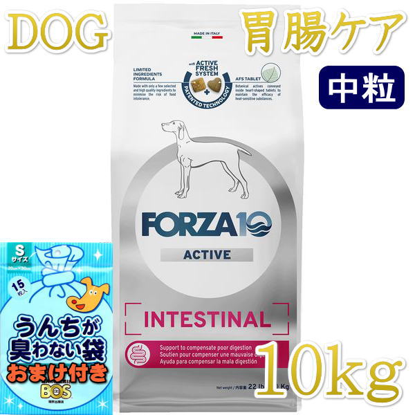 SALE/おまけ付き添い人！最短面白がる2026.10・フォルツァ10 犬並み並み インテシティナル 活動的中粒 10kg＋(微粒子250g2個付き添い人)fo14496胃の腑世話をする 置き目品