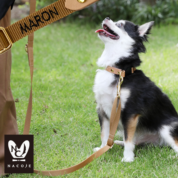 楽天市場 お名前無料刺繍 犬 首輪 犬用 おしゃれ かわいい 小型犬 中型犬 名入れ 刺繍 犬の首輪 シンプル ネコポス配送ok 日本製 ナコル M便 1 3 Dkw Nacole Dog ナコルドッグ