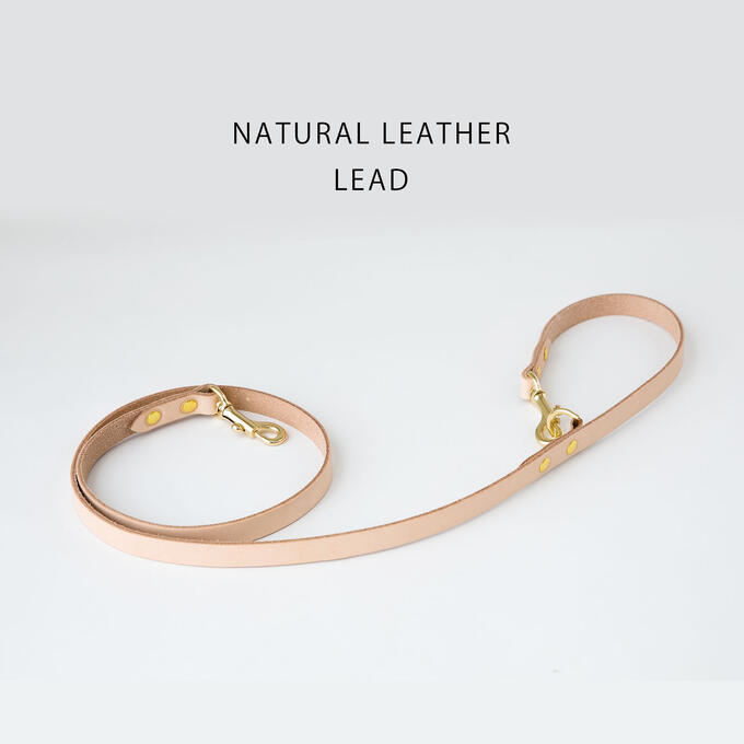 お名前無料刻印 犬 リード 犬用 レザー 本革 ヌメ革 ヌメリード 小型犬 中型犬 名入れ 犬の首輪 おしゃれ ネコポス配送ok 日本製 ナコル M便 1 3 Kwd Fitzfishponds Com