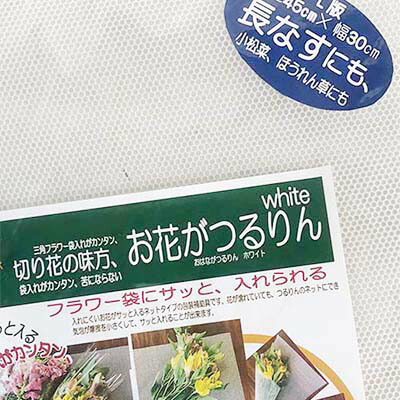 つるりん turu4.jpg