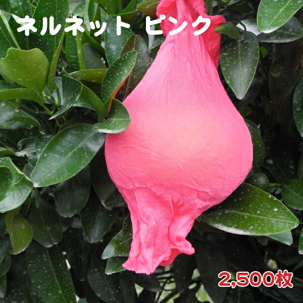 [即納] ネルネットピンク（中） ストッキングタイプ果実掛袋 [500枚-2,500枚] 中晩柑用 果実袋 K-221 － 一色本店