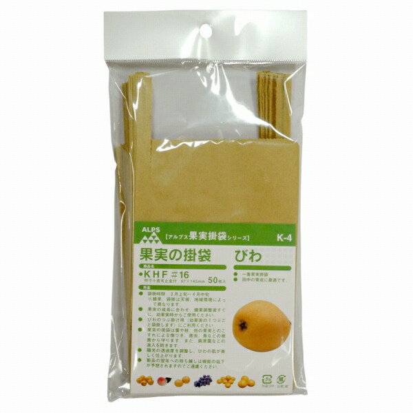 木製 びわ 専用ケース付き